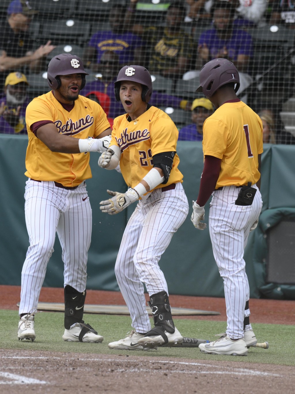 Bethune-Cookman baseball, a program enriched with championship winning pedigree and traditional baseball values